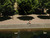 A young couple are sitting together on the steps by a canal. They are sat closely, are facing each other and appear to be engaged in conversation. The area is quiet, with their reflection visible in the water below, along with a swan swimming in the canal. The surrounding area is peaceful, with dappled sunlight filtering through the trees.