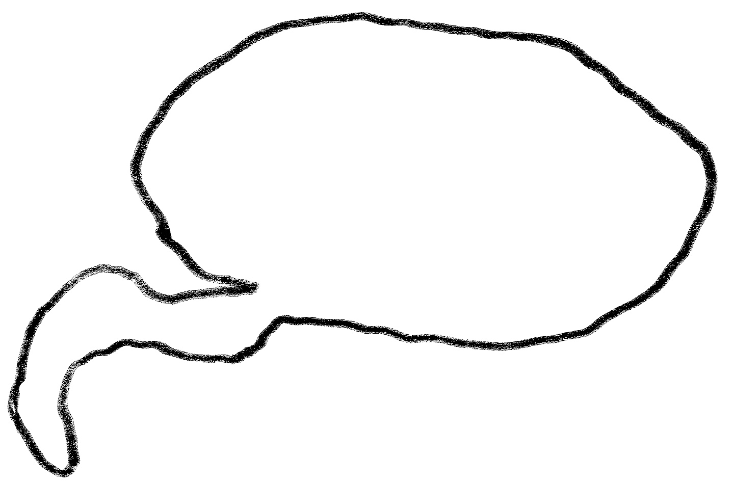 Drawing of a speech bubble.